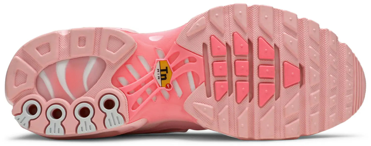 Nike TN Air max Plus Atlanta